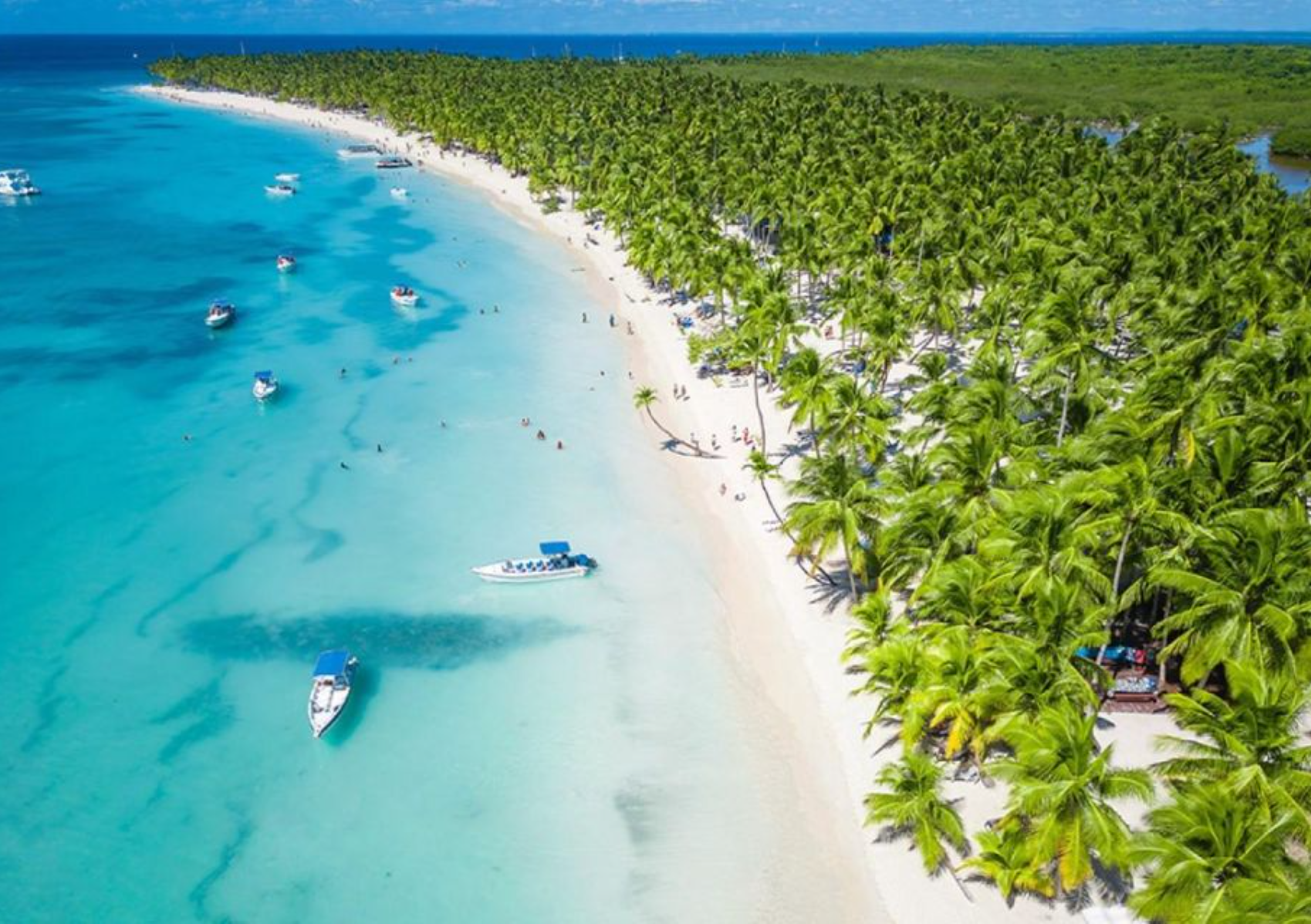 Saona Island catamaran experience with lunch from punta cana